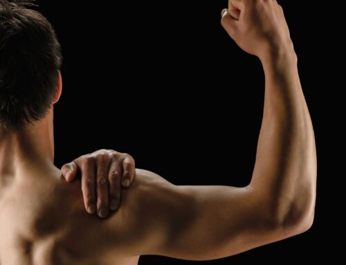 Ipertrofia muscolare, elementi e caratteristiche